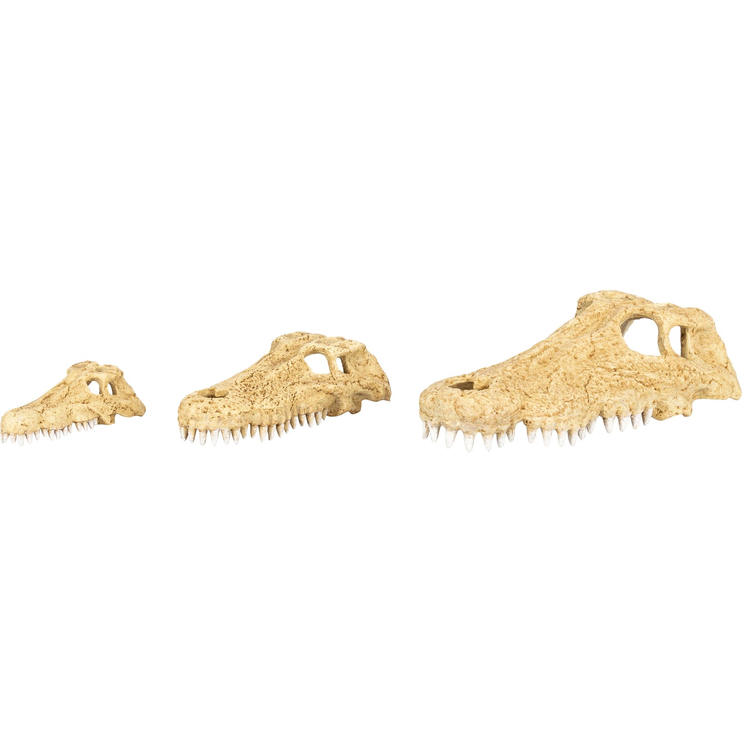 Crocodile Skull Hide Cave ERS34 Series